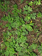 IMG_2098
