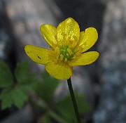 IMG_9197