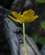 IMG_9198