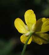 IMG_9201