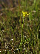IMG_0017