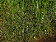 IMG_0024