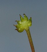 IMG_1988