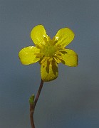 IMG_1989