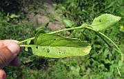 IMG_9889