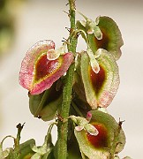 IMG_7141