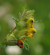 IMG_3753