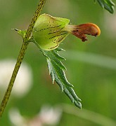 IMG_3754