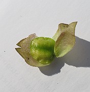 IMG_9402
