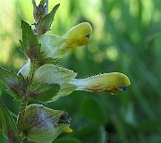 IMG_9686
