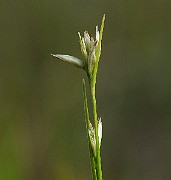 IMG_4019