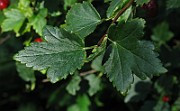 IMG_3759