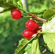 IMG_3760