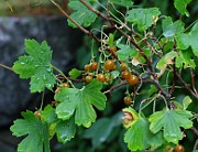 IMG_6763