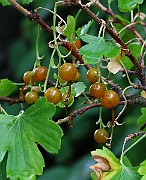 IMG_6763b