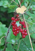 IMG_7292