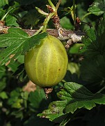 IMG_0150