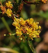 IMG_6288