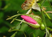IMG_3267