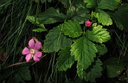 IMG_9031