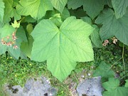 IMG_7645