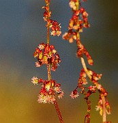 IMG_1008s