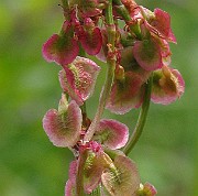 IMG_6301b