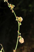 IMG_7146