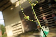 IMG_7148