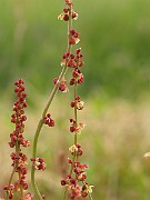 IMG_6331