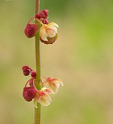 IMG_6331b