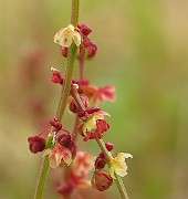 IMG_6331c