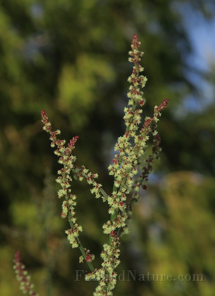 IMG_7188.JPG