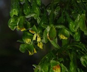 IMG_2628