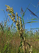 IMG_9788