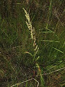 IMG_9793