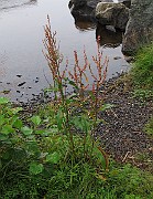 IMG_0190