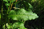 IMG_2582