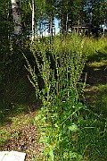 IMG_2586