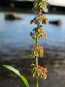 IMG_8891