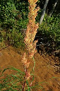 IMG_6301