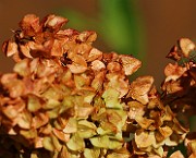 IMG_6304