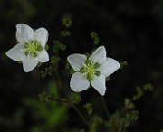 IMG_2192