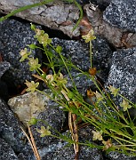 IMG_1547