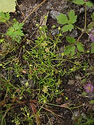 IMG_8118