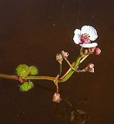 IMG_6768