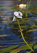 IMG_1424