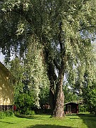 IMG_7271