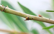 IMG_6778