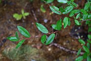 IMG_6758